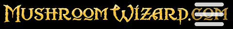 M_W_logo
